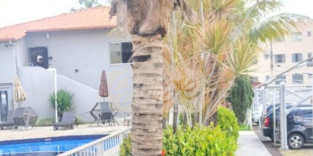 WhatsApp Image 2025-11-24 at 17.10.56 (1)