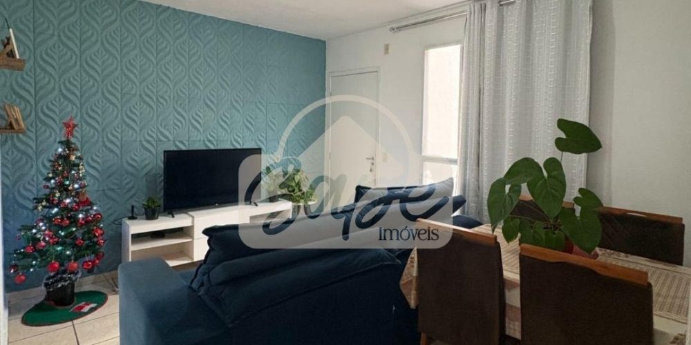 WhatsApp Image 2025-12-19 at 11.45.03